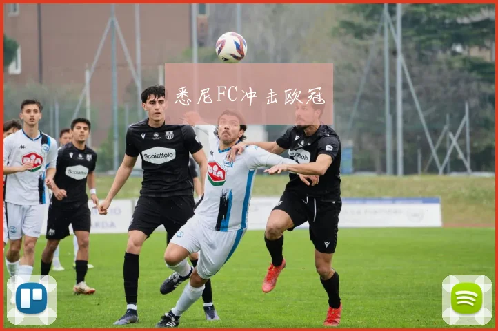 悉尼FC冲击欧冠
