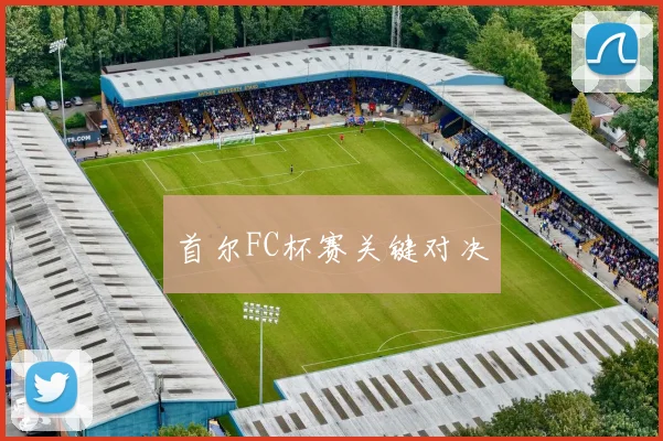 首尔FC杯赛关键对决