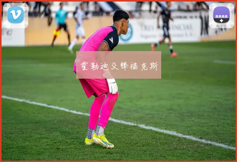 霍勒迪交锋福克斯