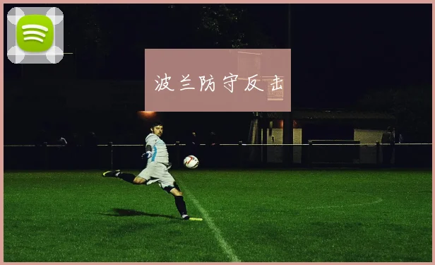 波兰防守反击