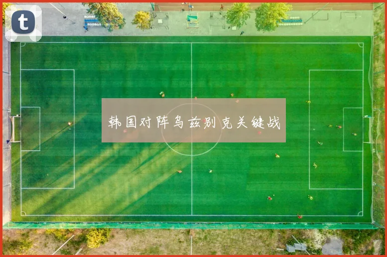韩国对阵乌兹别克关键战