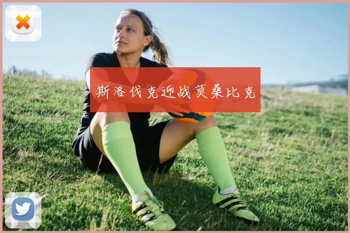 斯洛伐克迎战莫桑比克