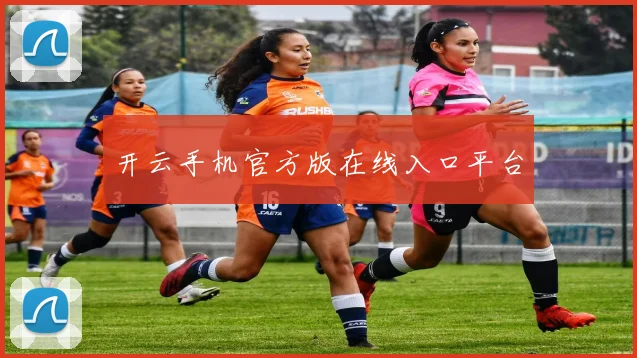 开云手机官方版在线入口平台