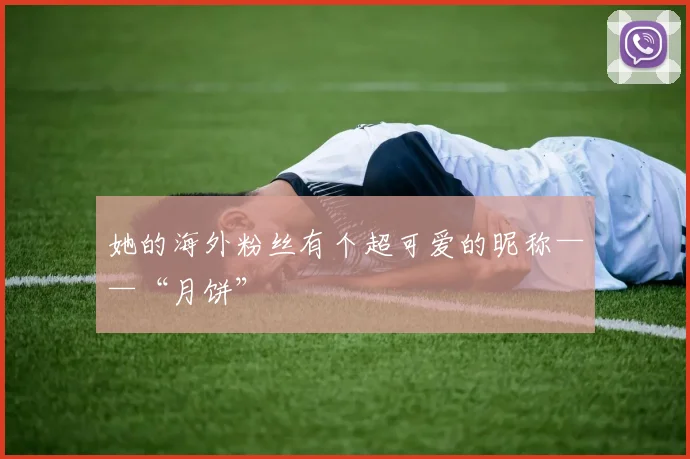她的海外粉丝有个超可爱的昵称——“月饼”