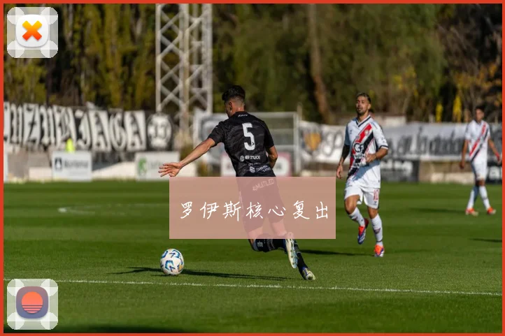 罗伊斯核心复出