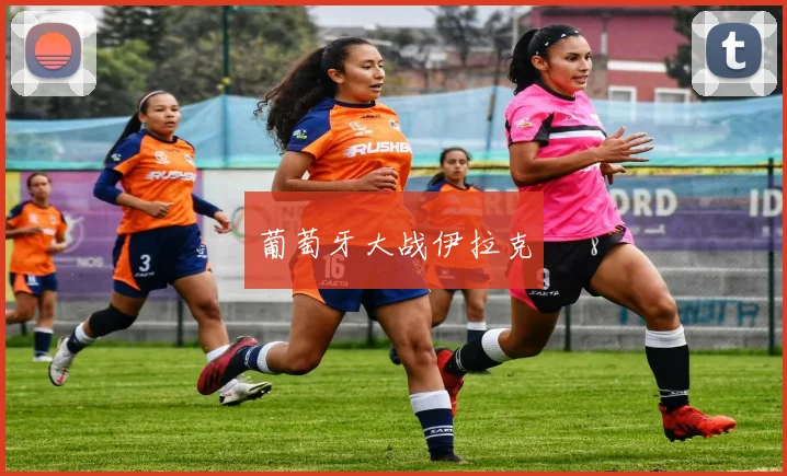 葡萄牙大战伊拉克