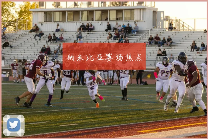 纳米比亚赛场焦点