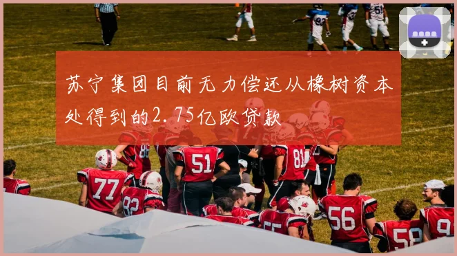 苏宁集团目前无力偿还从橡树资本处得到的2.75亿欧贷款