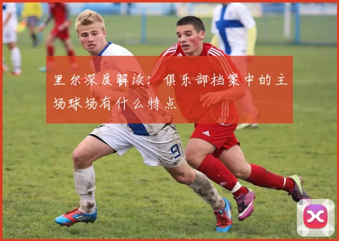 里尔深度解读：俱乐部档案中的主场球场有什么特点