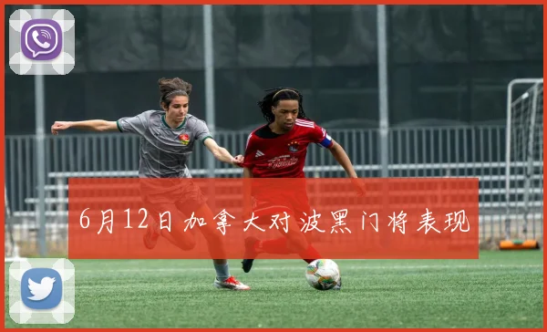 6月12日加拿大对波黑门将表现