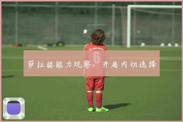 萨拉赫能力观察，开局内切选择