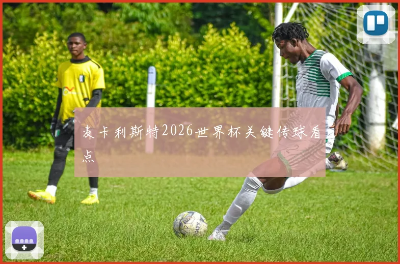 麦卡利斯特2026世界杯关键传球看点