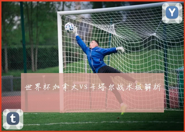 世界杯加拿大vs卡塔尔战术板解析