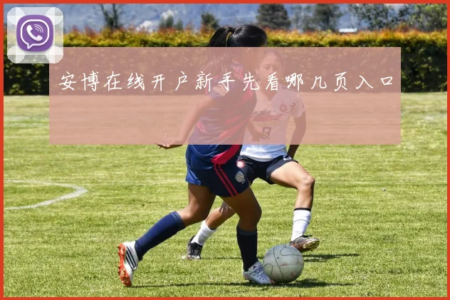 安博在线开户新手先看哪几页入口