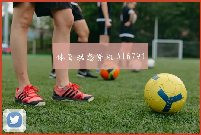 世界杯比利时新西兰赛前赔率提醒